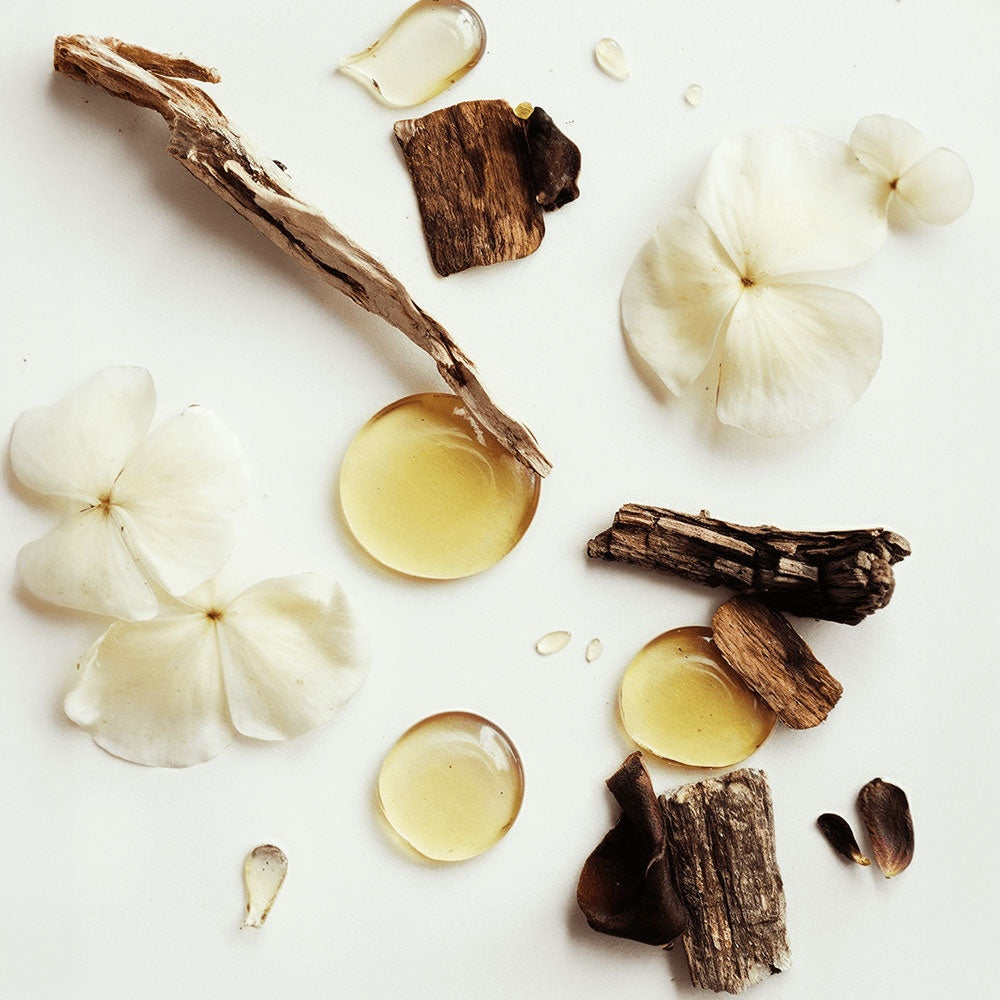 Latreux Glow - Whipped Grass-Fed Tallow Balm with Vanilla Bean
